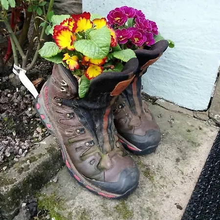 Eden Отель типа 