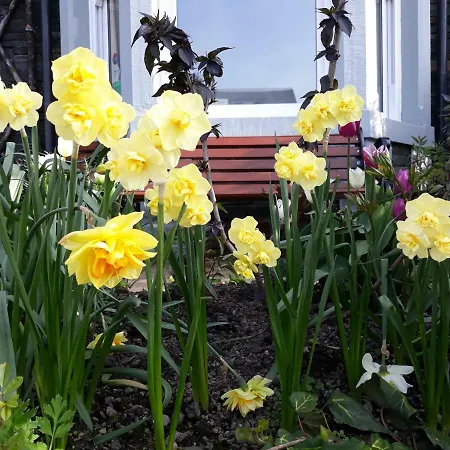 Eden Couette-café Keswick (Cumbria)